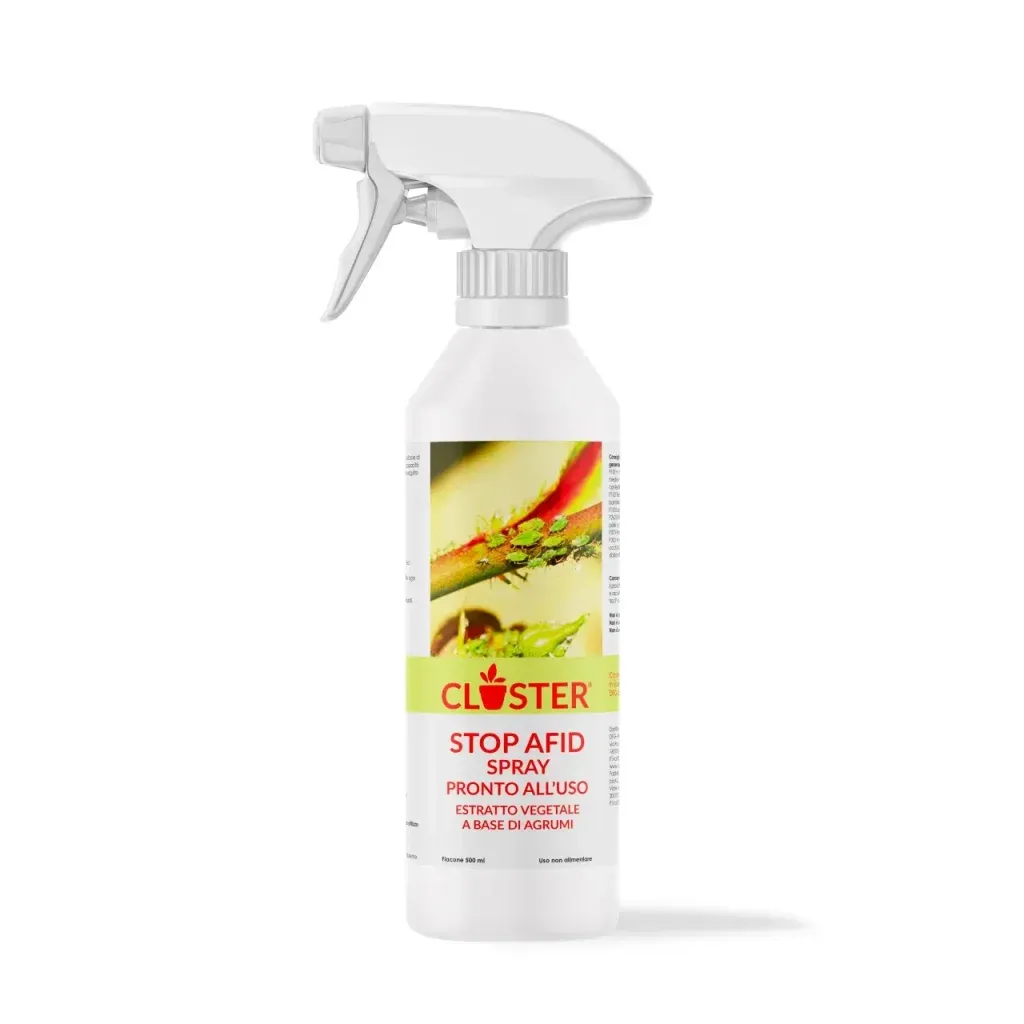 Rimedio Naturale Afidi