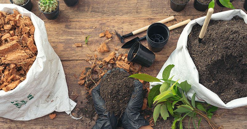 Prodotti naturali per la cura di piante e giardino
