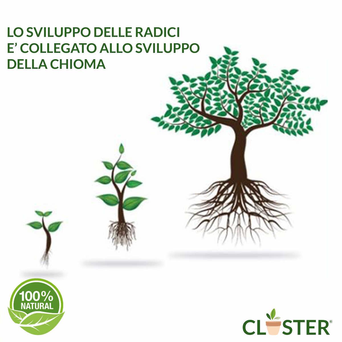 Bio A.L.T. BC CONTROL Micorrize 150g | Fertilizzante Stimolatore Radici Per Prato E Orto | Antifungino Naturale