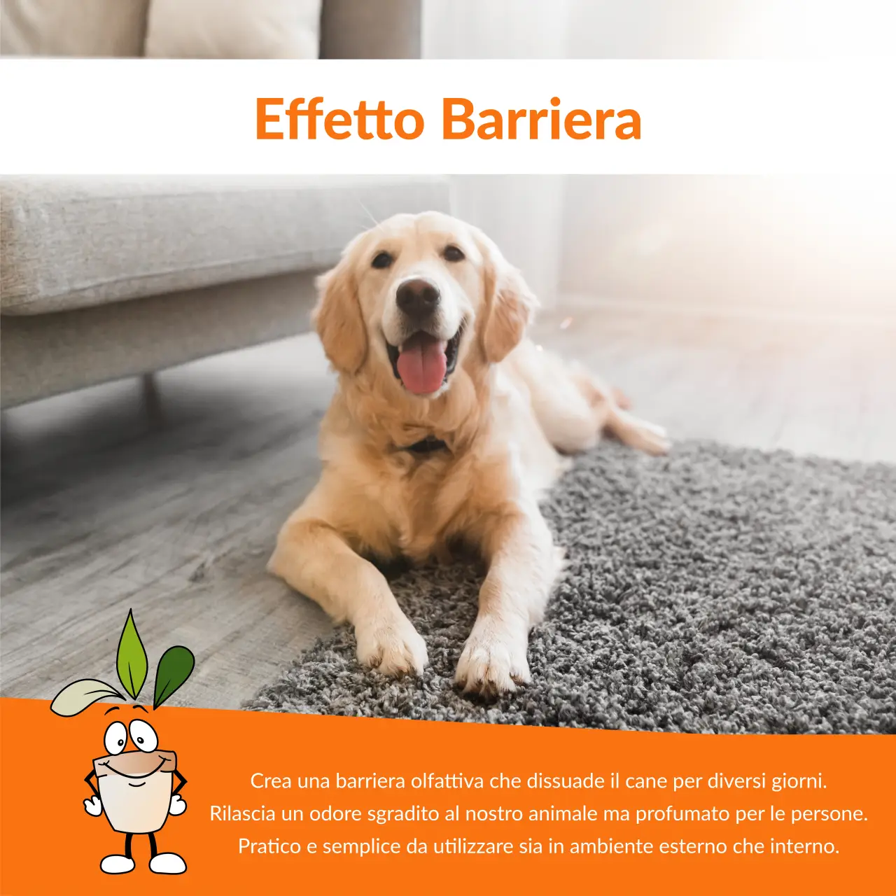 Repellente per cani No Qui (IGF 53) - QuaLaZampa Pet Shop