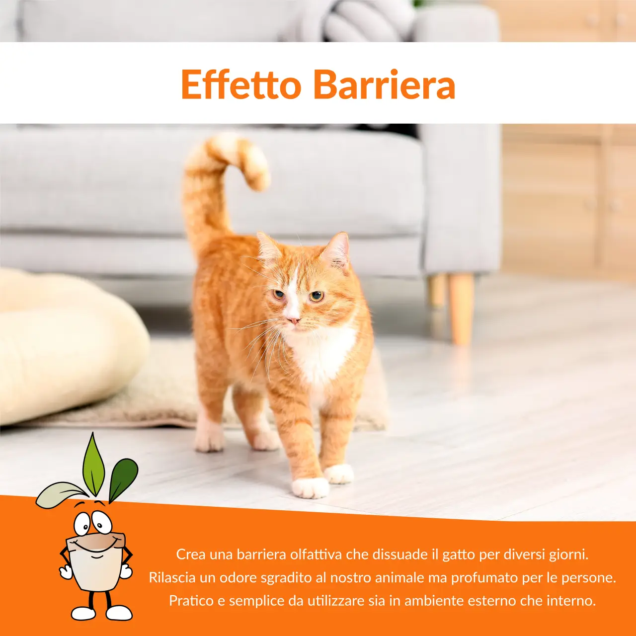Disabituanti repellenti naturali per gatti da esterno