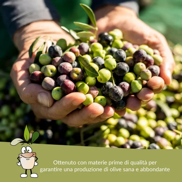 concime per olivo
